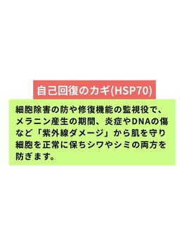 ヘルディン(heldin +555)/自己回復