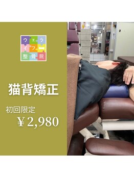 ウェライフ整骨院 大泉学園 新座/施術メニュー