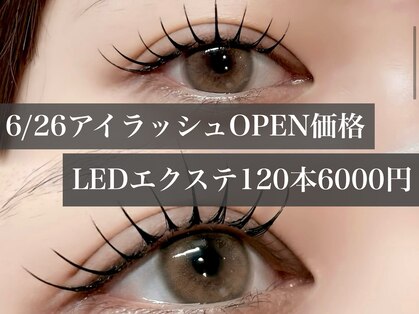 エルネイル バイ ファースト(el.NAIL by1st)の写真