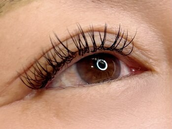 リヴェール/フラット120本