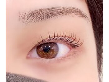 スワロウテイル(Swallowtail)/似合わせまつげパーマ/マツパ