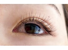 シマー(shimmer)/バインドロック50束