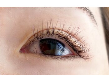 シマー(shimmer)/バインドロック50束