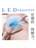 《リピート率No1》★LEDジェル使用★フラットラッシュ無制限つけ放題/¥7,900-