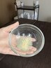 ☆周年記念☆ハーブピーリング取扱フルオプション22,000円→17,000円