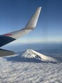 アイリス(Iris) 講師業で大阪へ出張の時に見えた飛行機からの富士山!