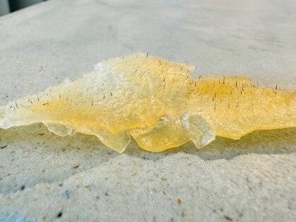 コンディションスキン(condition skin)の写真