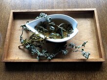 モンステラ(Monstera)/ヘッドスパ用ジ手作りジェル