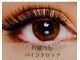 ココア(COCOA)の写真