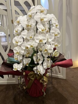 サロンドボーテ ベルリュンヌ(Salon de beaute belle lune)/2024年11月New Open［エステ］