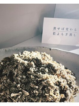 ジョリーズ(jolie's)/結果重視の若よもぎ蒸し