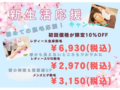 ケイナイン(K-NINE)の写真