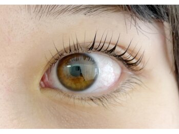 ブルーミン(Bloomin')/持続力◎高保湿Trまつげパーマ