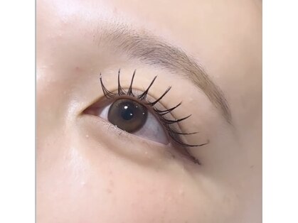 ウィンク(Wink)の写真