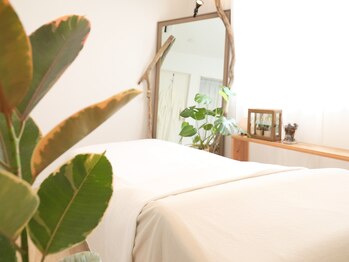 モッティ(MOTTY)/