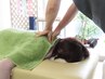 【慢性肩こり・首の痛みに最適！】不調の根本に届く整体60分◎心も体も軽く♪