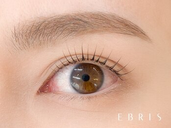 エブリス 浦和店の写真/【韓国マスカラパーマ】や【ケアリペアラッシュリフト】などまつ毛メニューも多数◎朝のメイクも時短！