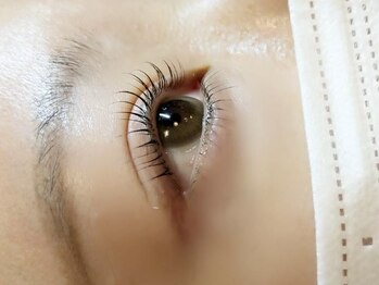 リリー(Liliy)/上まつげパーマ