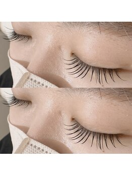 ビューティー アイラッシュ ベルウインク(Bellewink)/まつげエクステ