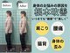 ハチ(HACHI)の写真