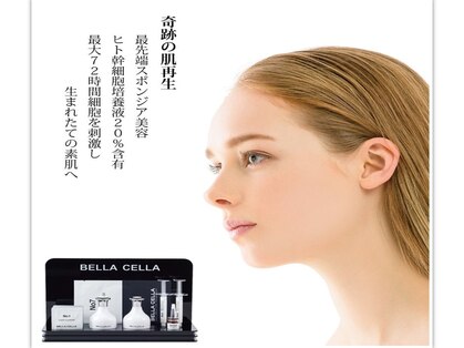 ソエルテ(Soelte)の写真