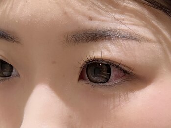 リコ(Lico)の写真/お顔の雰囲気や好みに合わせたデザインをご提案☆上品な目元で好感度UP♪初めての方にもおすすめ◎