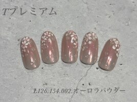 ハンド定額プレミアムコース