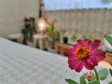 ほぐしサロン 天使の梯子