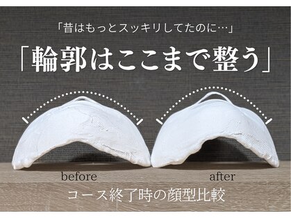 バンブー(bamboo)の写真