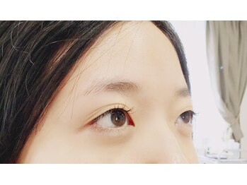 ノリージュ(Nori-jue)/デザイン[221]