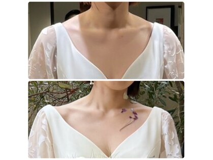 バイオレットの写真