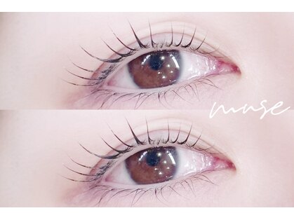 ミューズ(muse)の写真