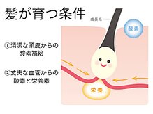 サロン ド エステティック ルチア 東京店/髪が育つ条件はいたってシンプル