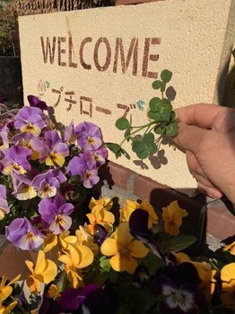 プチローズ/種から育てた四葉のクローバ多幸