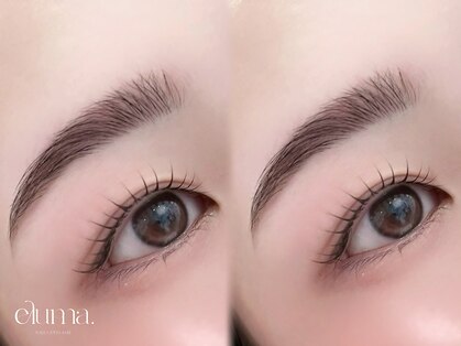 エルマ(eluma.)の写真