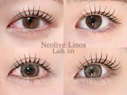 ネオリーブ リノア(Neolive Linoa)の写真