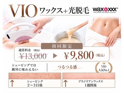 ミモザ(MIMOZA)の写真