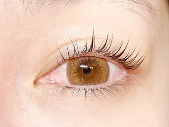 サクラ 心斎橋店(SAKURA)/セーブルエクステ