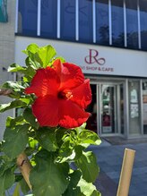 ルヴィショップ 沖縄(REVI SHOP)/旅行客も大歓迎