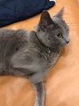 アンダンテ(Andante)&nbsp;猫派です。犬も好きです。
