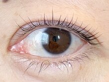 コンド サロン アネックス(CONDO SALON annex)/担当・moe