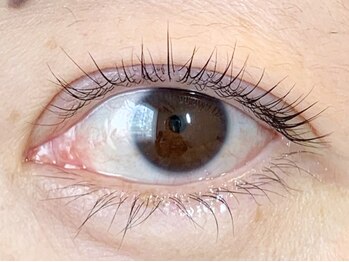 コンド サロン アネックス(CONDO SALON annex)/担当・moe