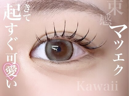 エラ(ella)の写真