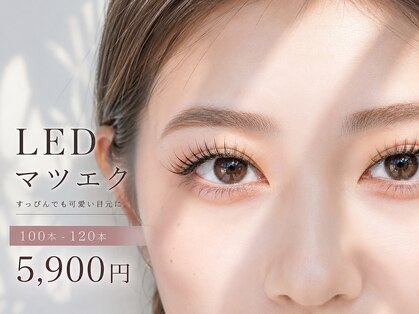 アローンズ(alones)の写真