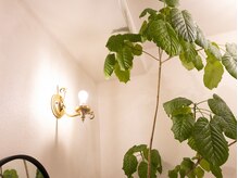 シャルール(chaleur)/アフタードリンク