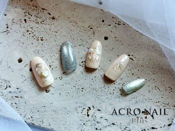 アクロネイルプラス(ACRO NAIL Plus)/2025年 11月 プレミアムコース1