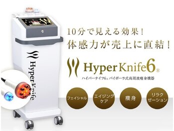 レナンセラ バイ カトレアグループ(Renanthera by カトレアGroup)/新型ハイパーナイフ6