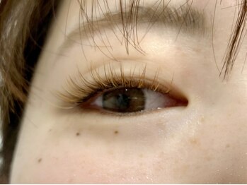 シック(Chic)/シングルラッシュall color120本