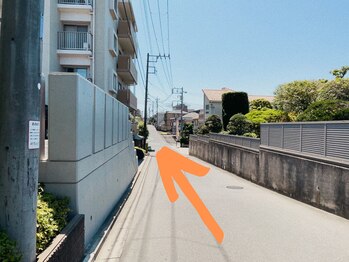 モーンガータ(mangata)/