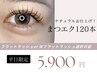 【平日限定】まつエク120本　フラットorWフラット ¥5,500